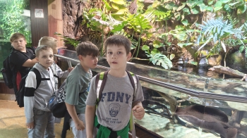 IMG20260618112901