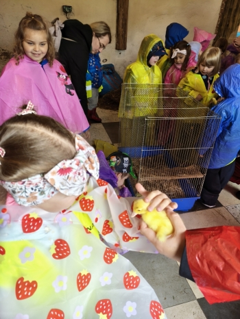 IMG_20260615_110617