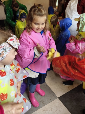 IMG_20260615_110624