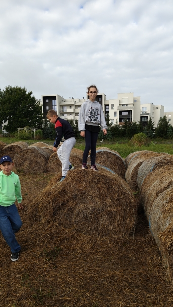 IMG20260914091537