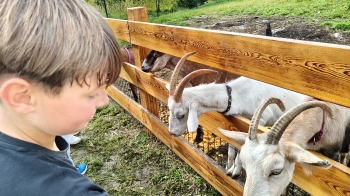 IMG20260914101219