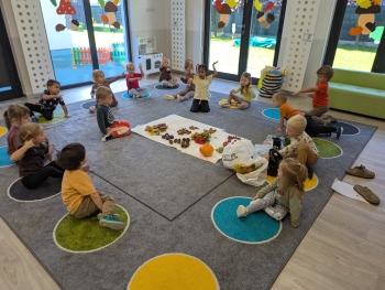 PXL_20260923_071137241