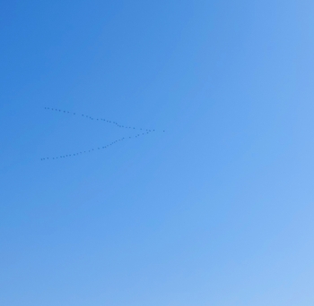 20261002_104009