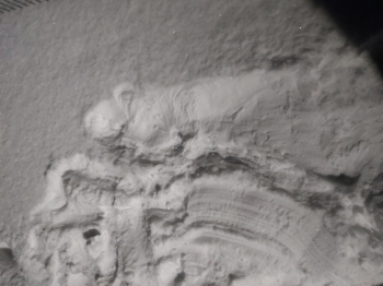 Dyscyplina sportowa wyrzeźbiona w śniegu