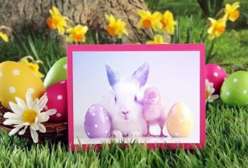 Dwie pisanki z króliczkiem i kurczaczkiem na zdjęciu w tle wiosenno wielkanocne tło stworzone przez Annę Frąckowiak z 4a