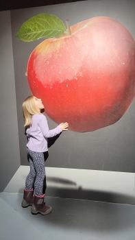 Dziecko z jabłkiem w tle