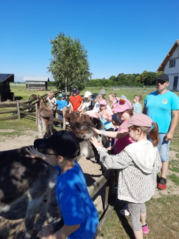 zwierzęta i dzieci