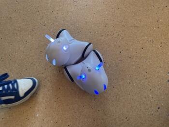 roboty photon na matematyce