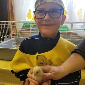 chłopiec z kurczaczaczkiem