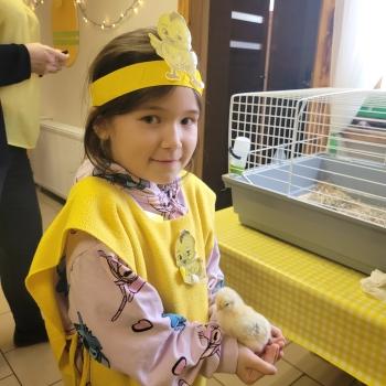 Dziewczynka trzyma kurczaczka