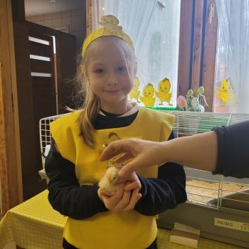 Dziewczynka z małym kurczaczkiem