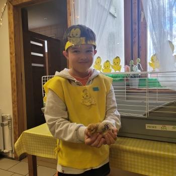 Uśmiechnięty chłopiec z małym kurczaczkiem