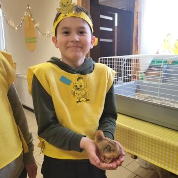 Uśmiechnięty chłopiec  z kurczaczkiem na rękach 