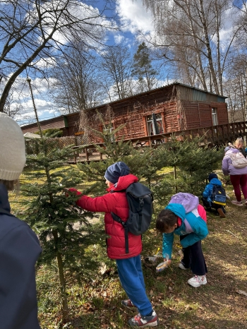 W poszukiwaniu słodkich upominków