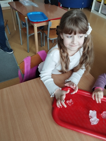 IMG_20250224_124249