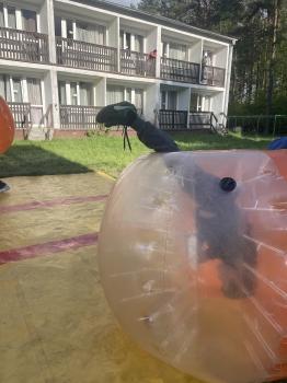 zielona szkoła 07-09.05.2025