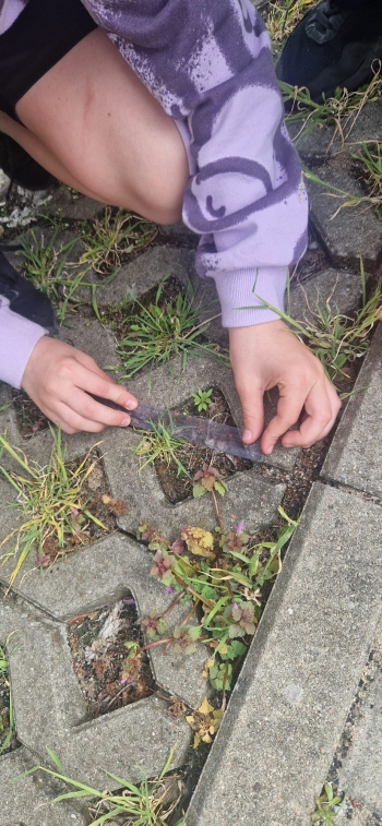 projekt edukacyjny kreatywni na matematyce na co dzień i od święta