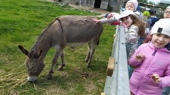 IMG_20250523_143429