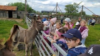 IMG_20250523_143500