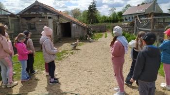 IMG_20250523_144138