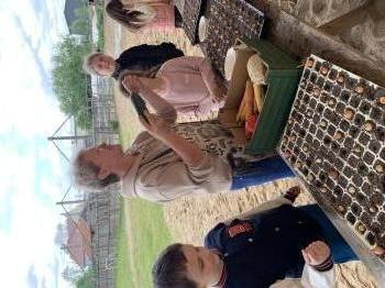 IMG_2595.jpeg