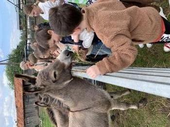 IMG_2599.jpeg