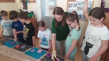 IMG_20250528_114510