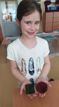 IMG_20250528_123715