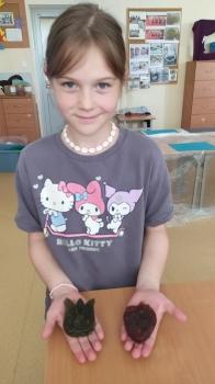 IMG_20250528_124244