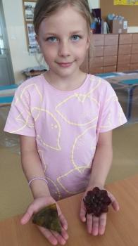 IMG_20250528_124437