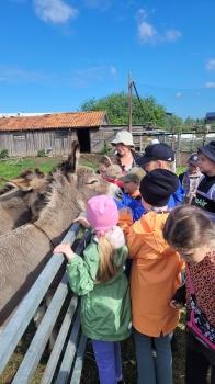 Dzieci bawiące się z osiołkiem