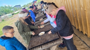 Dzieci sądzące cebulki