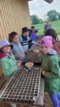 Uczniowie współpracują podczas sadzeni cebulek