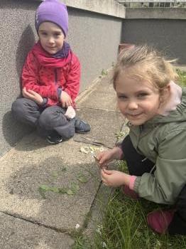 IMG_1805.jpeg