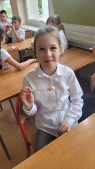 Dziewczynka degustuje miód