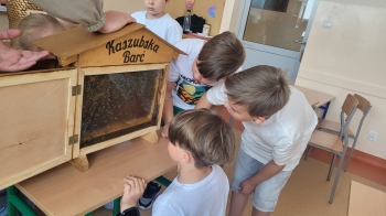 Uczniowie oglądają ul