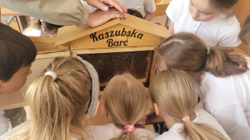 Uczniowie szukają królowej w ulu