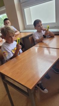 Chłopcy trzymający pszczoły