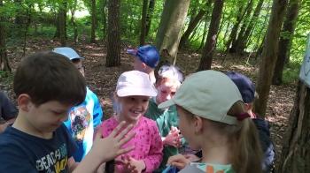 IMG_20250602_115036