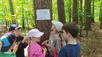 IMG_20250602_115026