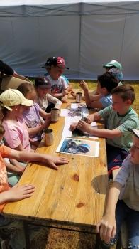 IMG_20250602_120053