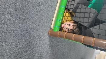 Zakopany w piankach chlopiec