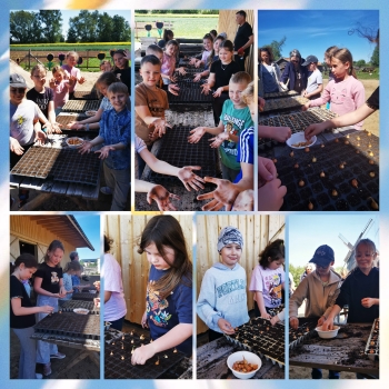 Polish_20250616_191635781