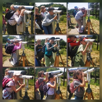 Polish_20250628_183705879