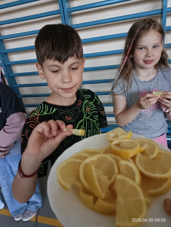 pasowanie na pólkolonistę