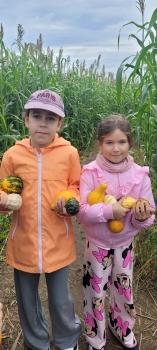 Dwie dziewczynki z dyniami