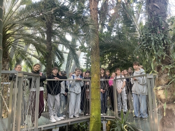 wycieczka do pixel xl