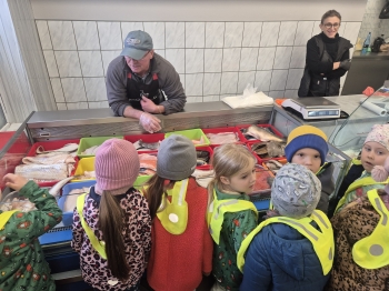 inbound8984572511142842246