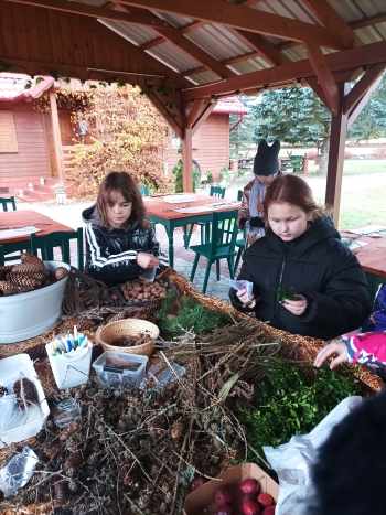 Wśród leśnych skarbów