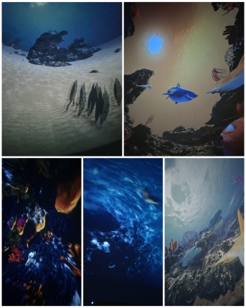 CollageMaker_202512112380451